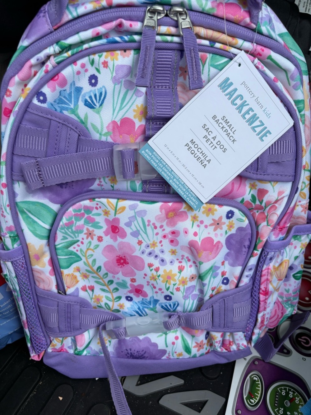 Pottery Barn Kids Floral Mackenzie Small Backpack - Purple, Pink, Green